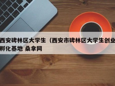 温州西安碑林区大学生（西安市碑林区大学生创业孵化基地 桑拿网