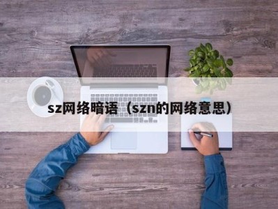 温州sz网络暗语（szn的网络意思）