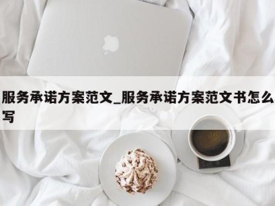 温州服务承诺方案范文_服务承诺方案范文书怎么写 